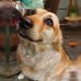 Karin Vledder-kuipers - Facebook