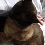 @kari_light27 - Instagram