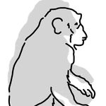 psychicmonkeys - Kari Light - @psychicmonkeyskarilight - Instagram