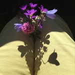 Kari Lind - @karili5800 - Instagram