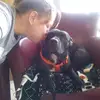 Kari Link - @kari.link1 - TikTok