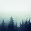 karen teresita hendrickson beltran - @kari.liu - TikTok