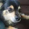 karilyon - @karilyon - TikTok