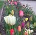 Karin Marko - Facebook