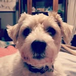Kari Stried Masterson - @kari_mast - Instagram