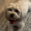 Kari Mathis - @kari.mathis1 - TikTok