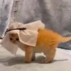 matlockberdikari - @matlockberdikari - TikTok