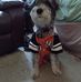Kari McLaughlin - Facebook