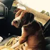 Kari Meadows - @karimeadows6 - TikTok