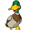 Duck TV - @karin.molnarova.8 - TikTok