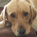 Kari Moran - @krmmom3 - Instagram
