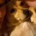 Kari Petty - Facebook