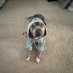 Kari Bittinger - @_karipotter_ - Instagram
