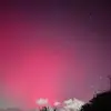 Kari Potter - @kari.potter - TikTok