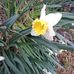 Kari Potts - Facebook