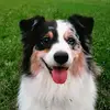 kari proctor - @kariproctor28 - TikTok