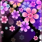 Kari Rea - Facebook
