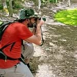Karim Ev'green (wildlife explorer & naturalist) - @karim.gabriel.evgreen - Instagram