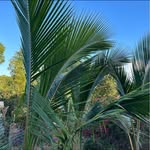 Kari Richard - @farmkdb - Instagram