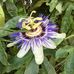 Kari Owens Richards - Facebook