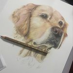 Kari Richards - @maude_illustration - Instagram