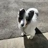 Kari - @kaririddle - TikTok