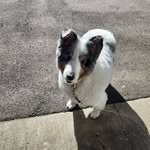 Kari Riddle - @kridd76 - Instagram