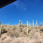 Kari Rigge - @karirigge - Instagram
