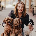 Kari Roach | Ethical Cavapoo Breeder | Family Cavapoo Puppies - @choice_paws - Instagram