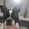 karirobbins615 - @karirobbins615 - TikTok