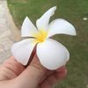 karirobbo - @karirobbo - TikTok
