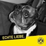 Karin Schäfer - @karin.schafer.944 - Instagram