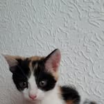 Karin Schäfer - @karin.schafer.7906932 - Instagram