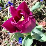 Kari Schneider - @enduringechoes - Instagram