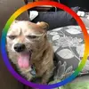 karischneider887 - @karischneider887 - TikTok
