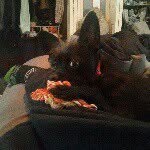 Kari Sims - @mister.badness - Instagram