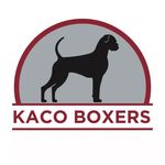 Kari Skinner - @kacoboxers - Instagram
