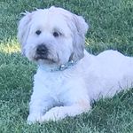 Kari Lynn Bennington Slater - @mulder_the_wheaton - Instagram