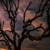 Kari Snyder - @karisnyder.3308 - TikTok