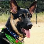 Kari Wilson Snyder - @karisnyder - Instagram