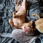 Keira Spackman - Facebook