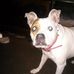 Kari Sprague - Facebook