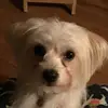 Addi_Stringer - @karistringer6 - TikTok