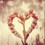 Kari Stringer - @karis_hearts - Instagram