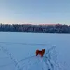 Kari Tapio - @kari.tapio4 - TikTok