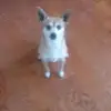 karin - @karinteague1 - TikTok