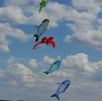 Karin Thiel - Facebook
