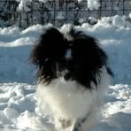 Karin Thiel - Facebook