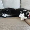 karithiele8 - @karithiele8 - TikTok