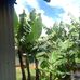 Tracy Kurui - Facebook
